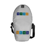 sandra  Messenger Bags (mini)