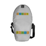 Ashlyn  Messenger Bags (mini)