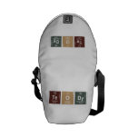 teody  Messenger Bags (mini)