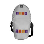frick  Messenger Bags (mini)