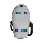 Be Nice  Messenger Bags (mini)