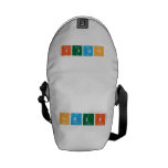 Sedef  Messenger Bags (mini)