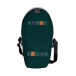 Hannah  Messenger Bags (mini)