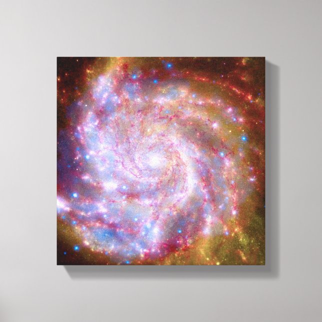 Messier 101 Spiral Galaxy - Hubble Telescope Photo Canvas Print (Front)