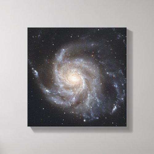 Messier 101 the Pinwheel Galaxy Canvas Print