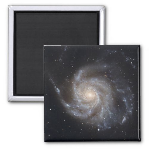 Messier 101 the Pinwheel Galaxy Magnet