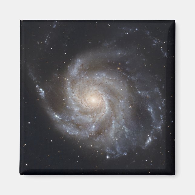Messier 101, the Pinwheel Galaxy Magnet (Front)