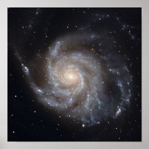 Messier 101 the Pinwheel Galaxy Poster