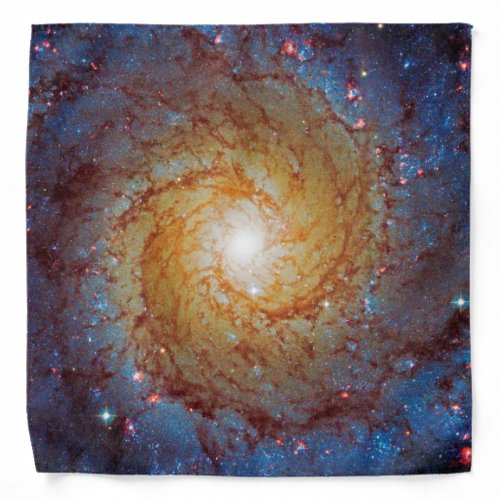 Messier 74 Spiral Galaxy Outer Space Photo Bandana