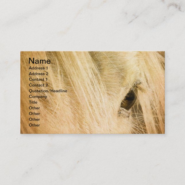 Messy Mane Business Card (Front)