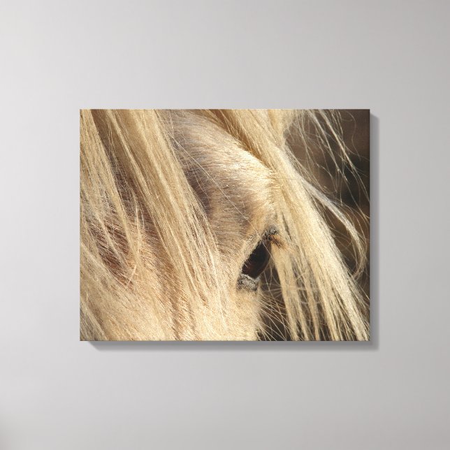 Messy Mane Canvas Print (Front)