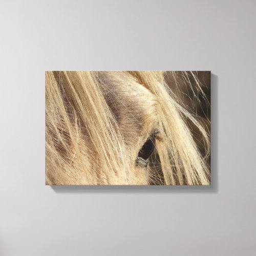 Messy Mane Canvas Print