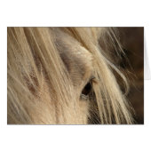 Messy Mane Day (Front Horizontal)