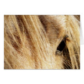 Messy Mane Day (Front Horizontal)