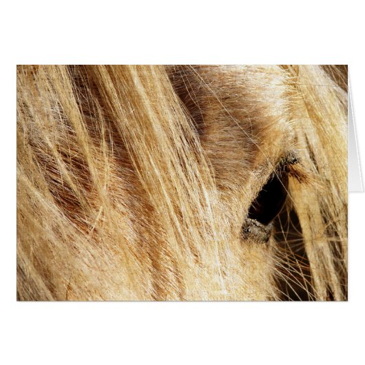 Messy Mane Day Cards (Front Horizontal)