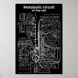 Metabolic circuit of the cell poster