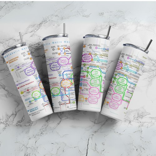 Metabolic pathway map thermal tumbler