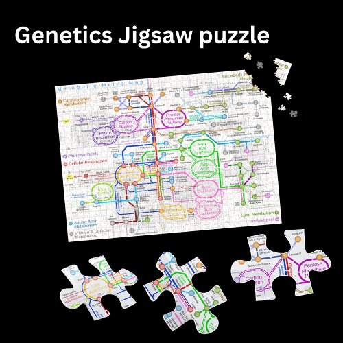 Metabolic pathway metro map jigsaw puzzle