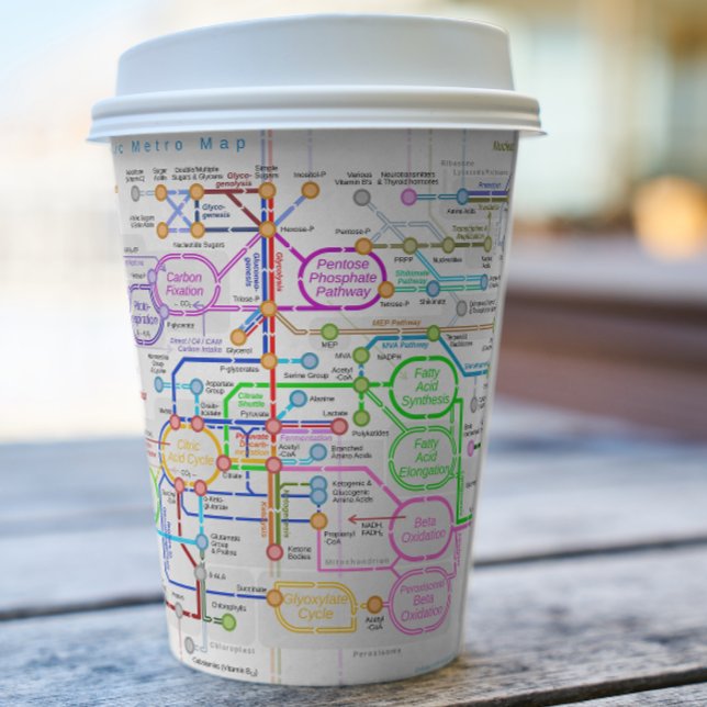 Metabolic pathway  paper cups (Creator Uploaded)