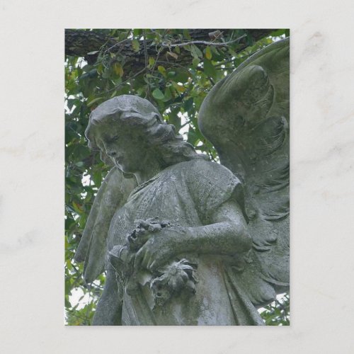 Metairie Angels Statues Postcard