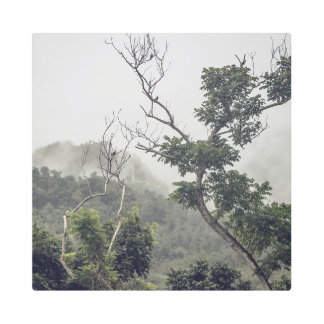 Metal Art Black & White II