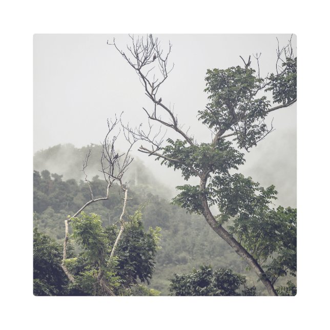 Metal Art Black & White II (Front)