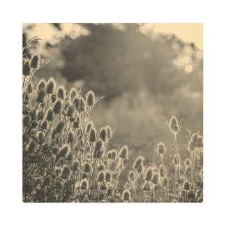 Metal Art sepia II