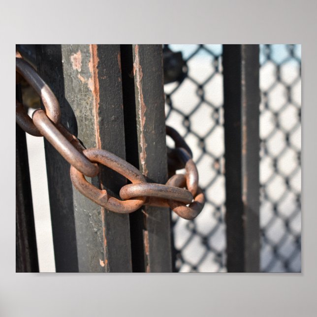 Metal Chain Link Fence Original NYC Photograph Poster (Front)