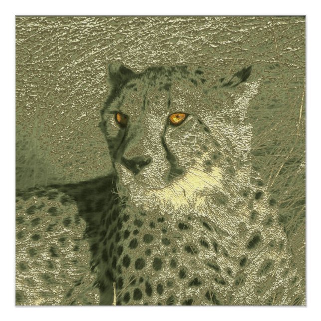 metal cheetah poster (Front)