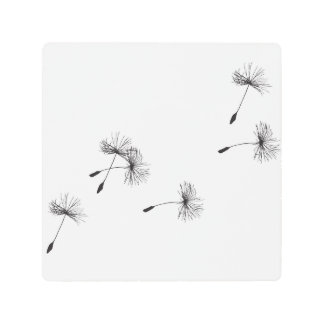 metal dandelion seeds wall hanging metal print