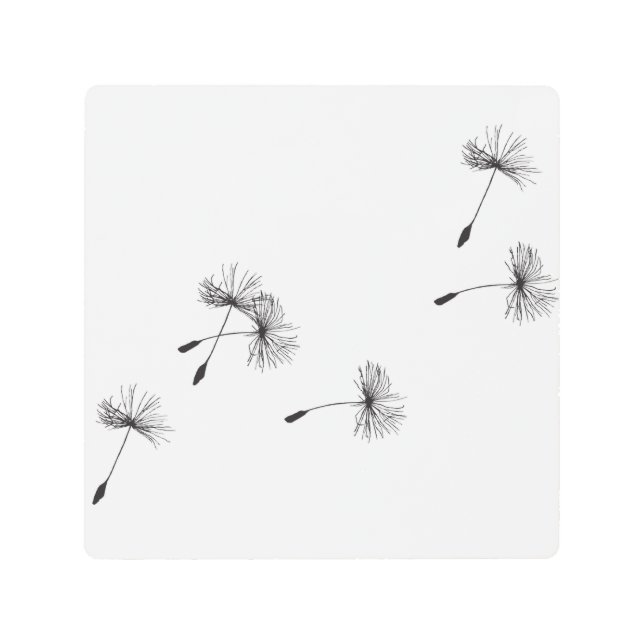 metal dandelion seeds wall hanging metal print (Front)