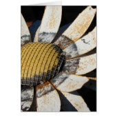 Metal Flower (Front)