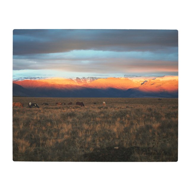 Metal Frame Alpenglow South Steens 16 x 20 Metal Print (Front)