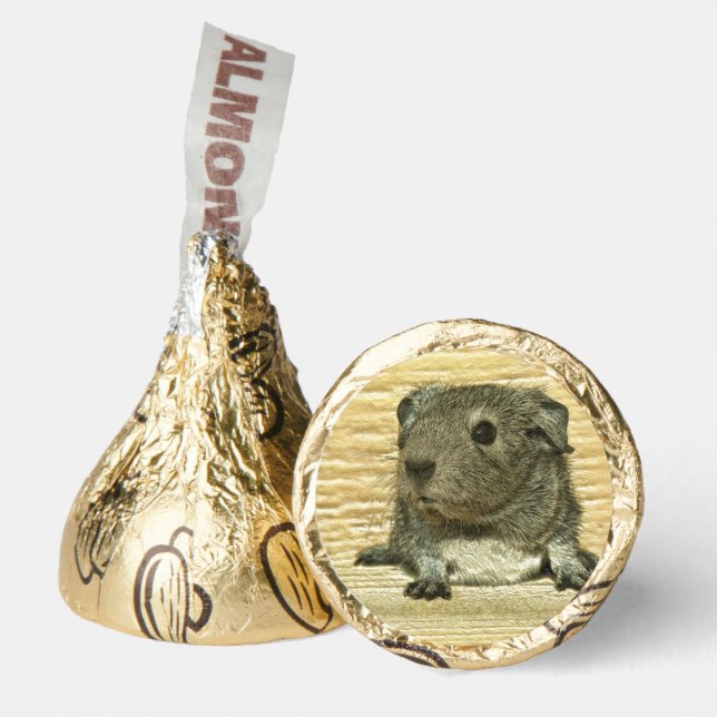 metal guinea pig  hershey®'s kisses® (Front)