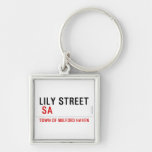 Lily STREET   Metal Keychains