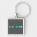 Dum Dums  Metal Keychains