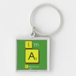 I'm
 A
 Fabulous  Metal Keychains