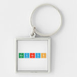 Novartis  Metal Keychains