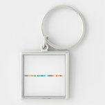 Renaissance Academy Scholars Rocks!  Metal Keychains
