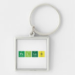 PAllab  Metal Keychains