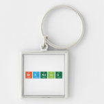 Branding  Metal Keychains