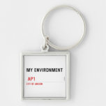 My environment    Metal Keychains
