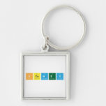 STEMEY  Metal Keychains