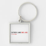 Catsick Lane  Metal Keychains