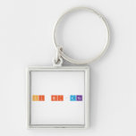 Hi Bri-Ana  Metal Keychains