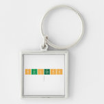 success
   Metal Keychains