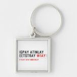 Igpay Atinlay Eetstray  Metal Keychains