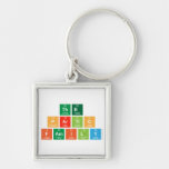 The 
 P|artlo
 Family  Metal Keychains