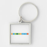 SyllabiOrganii  Metal Keychains