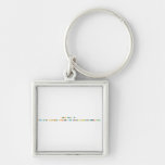 Stop TTIP, EU!!
 
 Say no to chlorine chicken and corporate lobbyism ueber alles!  Metal Keychains